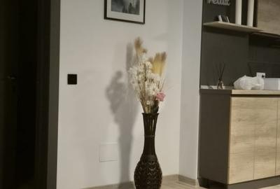 Apartament cu 2 camere decomandat în Semicentral - 5