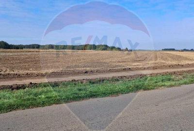 Teren de 21177 mp, în Santăul Mic