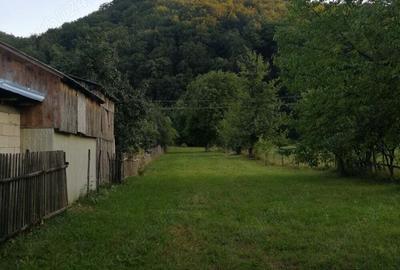 Vand casa batraneasca ?i teren 2500 mp la munte langa barajul Valea Uzului. - 1