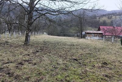 Teren Construcții intravilan de 2750 mp, în Nicula - 1