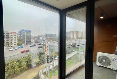 Duplex Premium/Herăstrău/ Strada Bilciuresti - 20