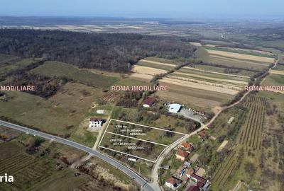 Teren de 6650 mp, în Remetea Chioarului - 12