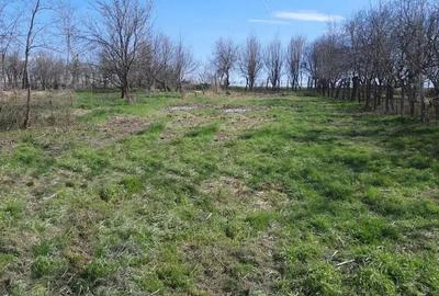 Vanzare casa veche in Ohaba -1400 mp teren Vanzare casa veche in Ohaba -1400 mp teren - 7