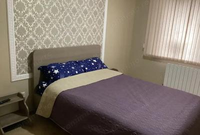 Apartament cu o camera in zona Buziasului Apartament cu o camera in zona Buziasului - 2