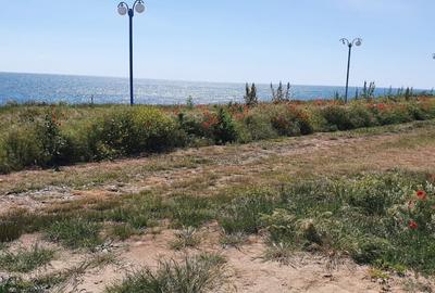 Teren Intravilan 2000 mp in Vama Veche in PRIMA LINIE LA MARE - 2