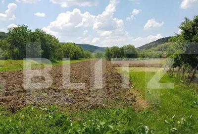 Casa individuala, 80 mp, teren 13000 mp, intrare in Dej - 4