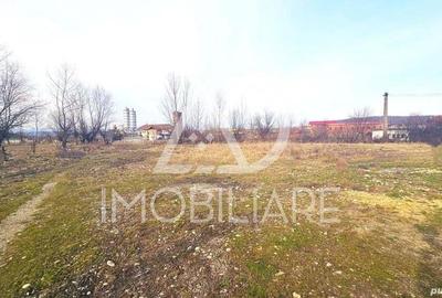 Teren de 12000 mp, în Rovinari - 8