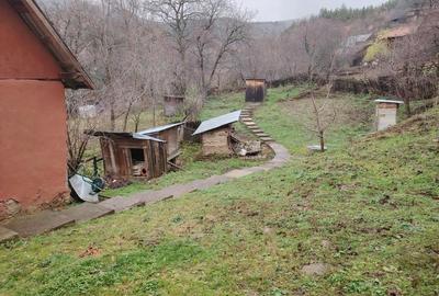 Casă cu 4 camere cu Teren 400 Mp în Cătiașu - 9