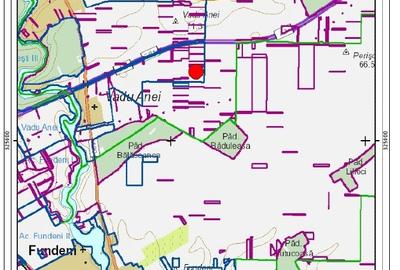Teren Construcții intravilan de 15000 mp, în Brănești - 2