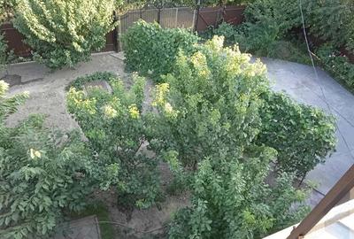 Casă cu 5 camere în Măgurele - 18