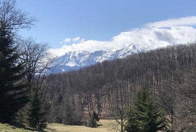 Teren agricol extravilan de 4900 mp, în 13 Decembrie - 3