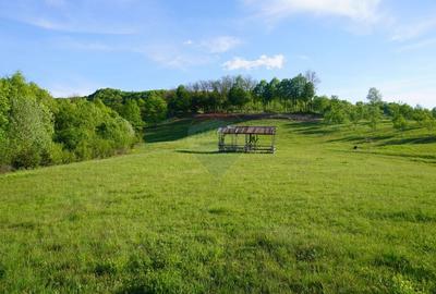 Teren Construcții intravilan de 15000 mp, în Sud-Vest - 13