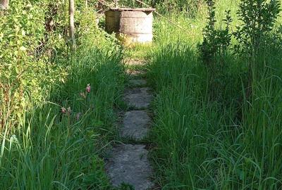 Casă cu 2 camere în Mura Mare - 2