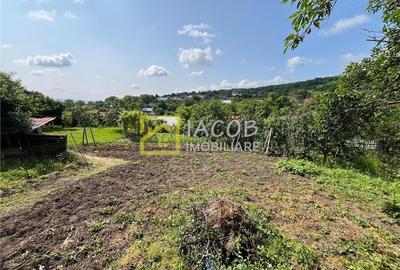 Casa cu 1690 mp teren, vie pe rod, comuna Sarata, jud. Bacau - 8