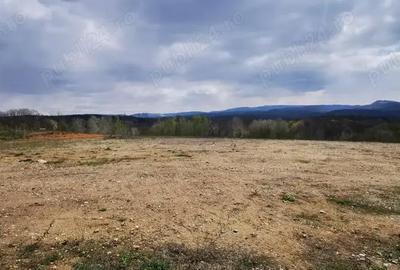 Teren de 26500 mp, în Calea Caransebeșului - 4