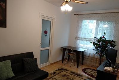 Apartament 2 camere de inchiriat pe termen lung Brotacei - 2