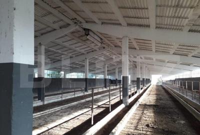 Teren de 950000 mp, în Central - 7