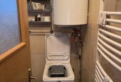 Casa renovata cu teren 600 mp, garaj ?i anexe Posta, aproape de Baia Mare - 18