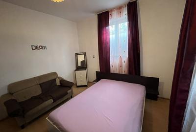 Apartament cu doua camere Calea Lipovei - 10