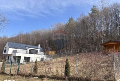 Spațiu comercial, în Cisnădioara