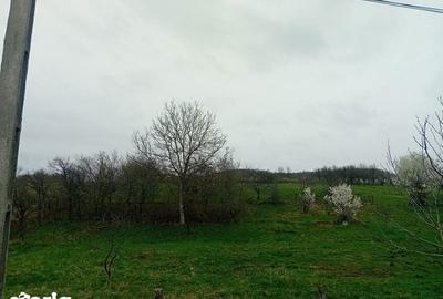 Teren de 3129 mp, în Central - 8