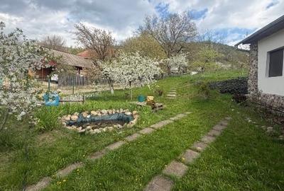 Casă individuală cu 4 camere cu Teren 2000 Mp în Beceni - 9