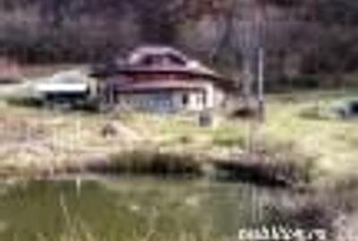 Casă cu 6 camere cu Teren 2700 Mp în Bradu - 10