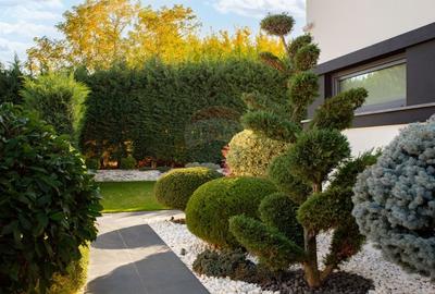 Casă individuală cu 5 camere cu Garaj în Aradul Nou - 22