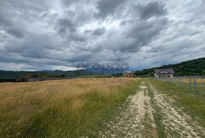Teren de vanzare - Rasnov, zona Glajerie - 2