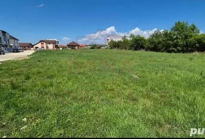 TEREN INTRAVILAN CARANSEBEȘ\JUD. CARAȘ-SEVERIN - 1