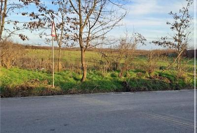 Teren de 2266 mp, în Tămășeu