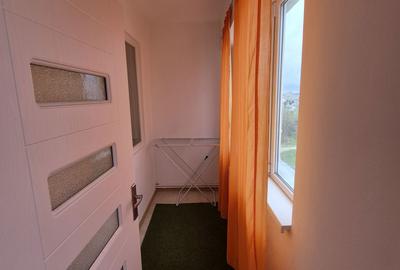 Garsonieră decomandată în Craiovița Nouă - 6