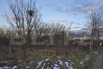 Teren 8 ari, Martinesti - 4