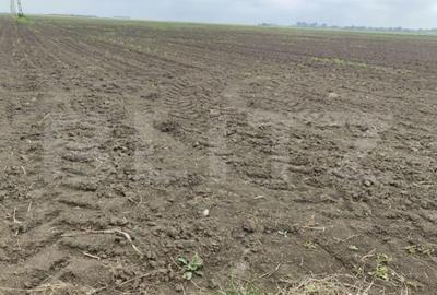 Teren de 390000 mp, în Central - 3