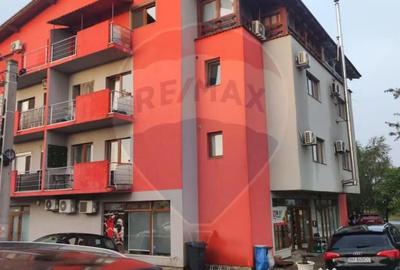 Apartament cu 2 camere decomandat în Paleu - 8