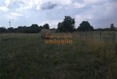 De vanzare teren 1.800/? intrav. in Deus- Chinteni ! - 8