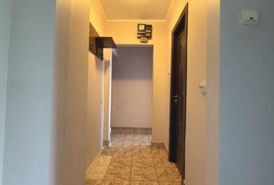 Apartament cu 3 camere nedecomandat, mobilat în Dacia - 13
