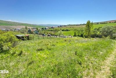 Teren de 900 mp, în Central - 3