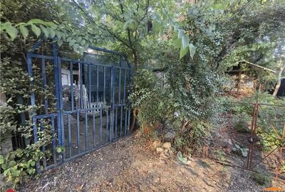 Cabana pe Stradul din Arad aproape de Mures - 2