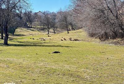 Teren de 10660 mp, în Bran - 3