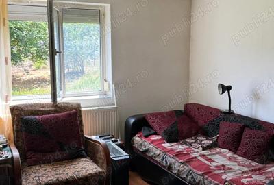 Casă cu 3 camere în Vulcan - 8