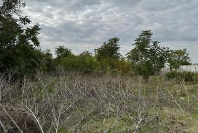 Teren de 2600 mp, în Găneasa - 8
