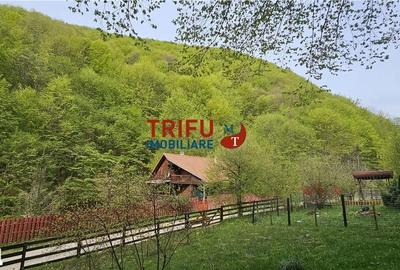 Casă cu 4 camere cu Teren 891 Mp în Ighiu - 11