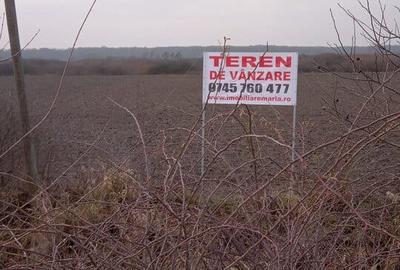 Teren de 10000 mp, în Dorolț - 2