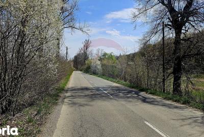 Teren de 10000 mp, în Vânători-Neamț - 10