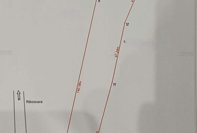 Spațiu comercial, în Ribicioara - 4