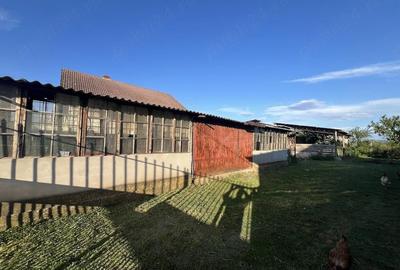 Casă cu 3 camere cu Teren 2000 Mp în Berzovia - 4