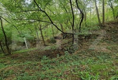 Teren de 79000 mp, în Central - 1