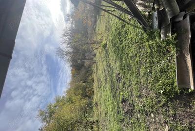 Casa de vanzare Garceiu, judetul Salaj - 2