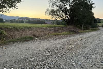 Teren de 2000 mp, în Sadu - 6